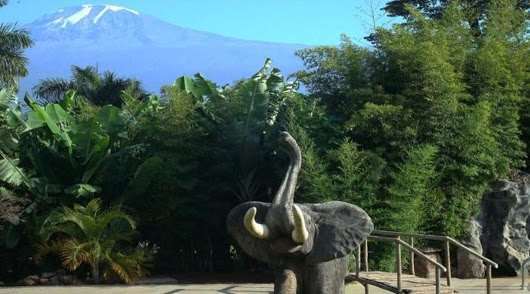 Kilemakyaro Mountain Lodge Moshi Eksteriør bilde